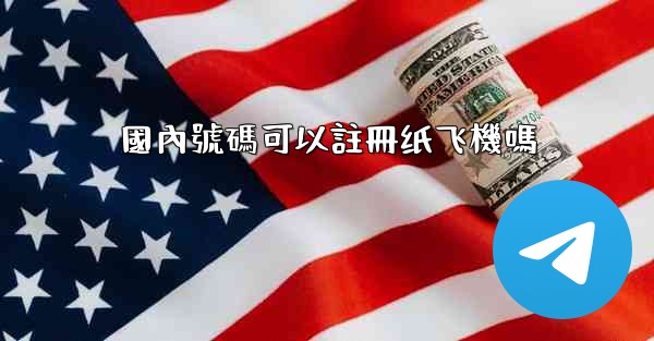國內號碼可以註冊纸飞機嗎