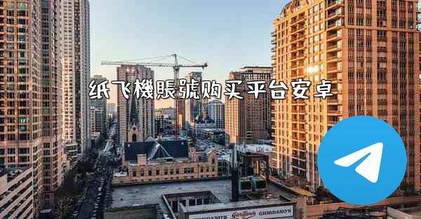 纸飞機賬號购买平台安卓