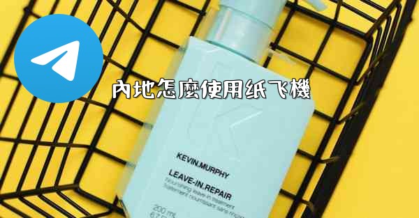 內地怎麼使用纸飞機