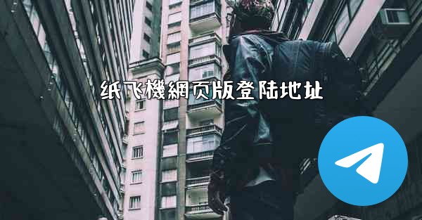 纸飞機網页版登陆地址