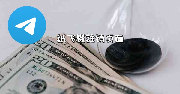 纸飞機註销页面