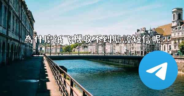為什麼纸飞機收不到驗證短信呢