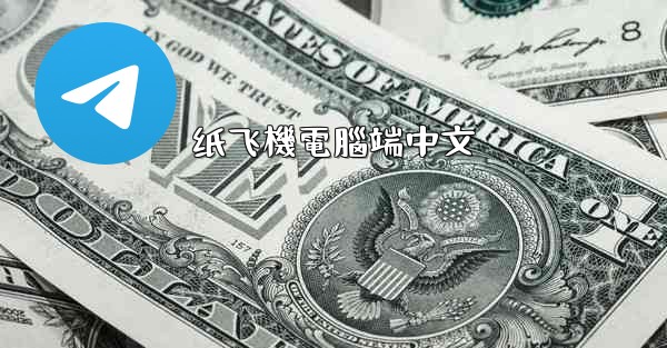 纸飞機電腦端中文