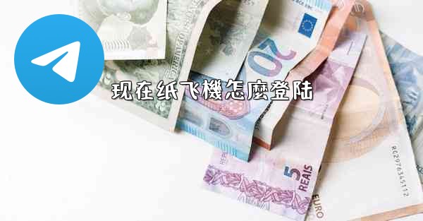 现在纸飞機怎麼登陆