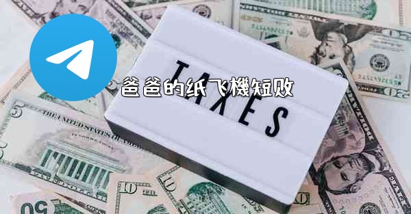 爸爸的纸飞機短剧