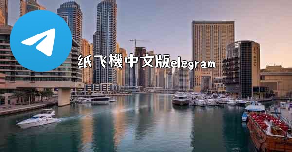 纸飞機中文版elegram