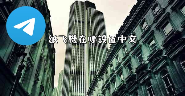 纸飞機在哪設置中文