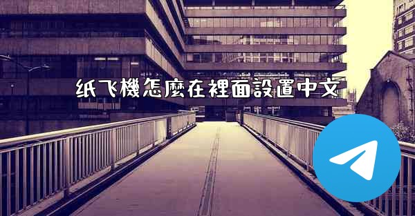 纸飞機怎麼在裡面設置中文