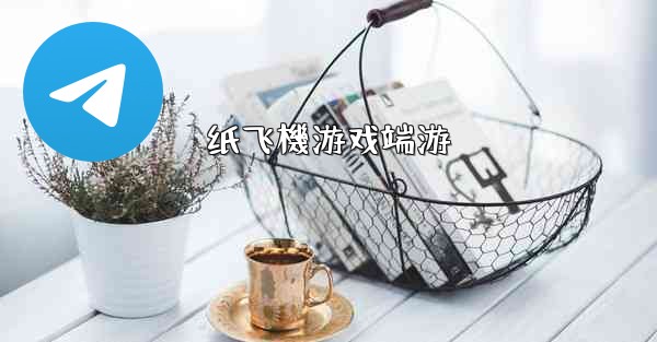 纸飞機游戏端游