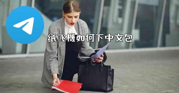 纸飞機如何下中文包