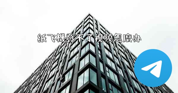 纸飞機發不了视频怎麼办