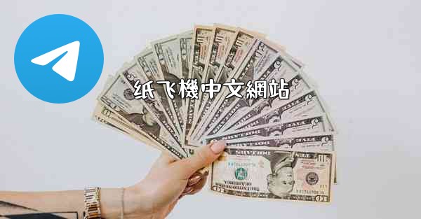 纸飞機中文網站