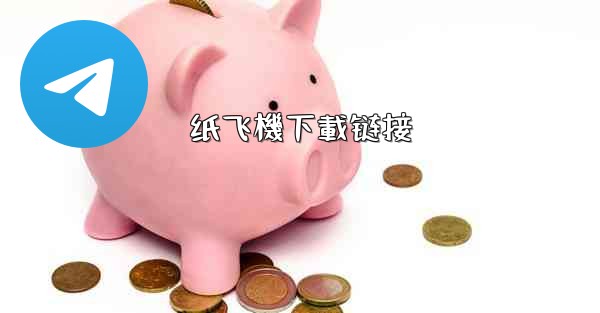 纸飞機下載链接