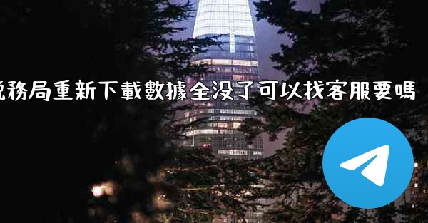 自然人電子税務局重新下載數據全没了可以找客服要嗎