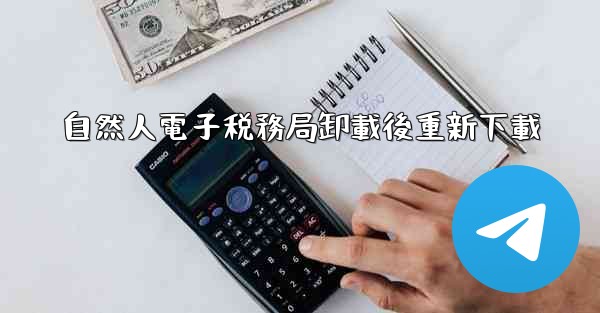 自然人電子税務局卸載後重新下載