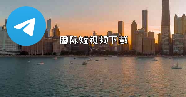 國际短视频下載