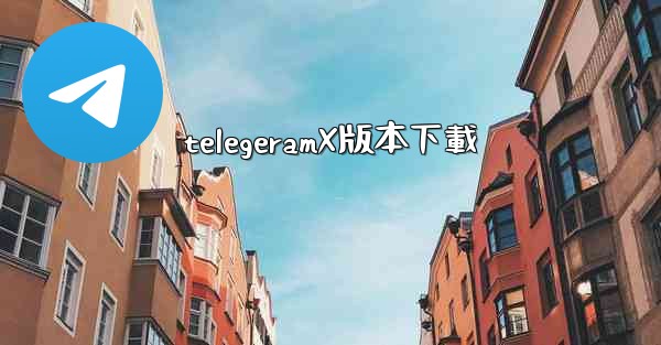 telegeramX版本下載