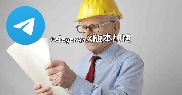 <b>telegeramX版本加速</b>