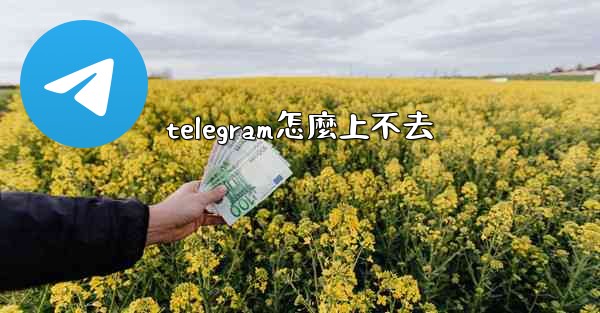 <b>telegram怎麼上不去</b>
