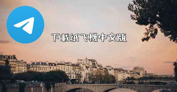 下載纸飞機中文版