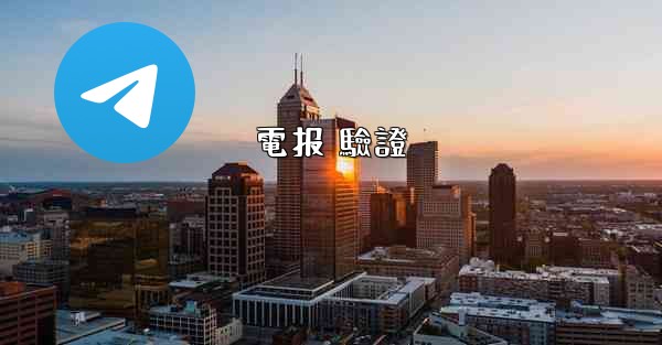 電报 驗證