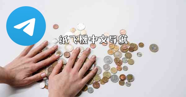 纸飞機中文导航