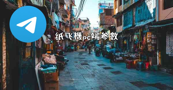 纸飞機pc端参數