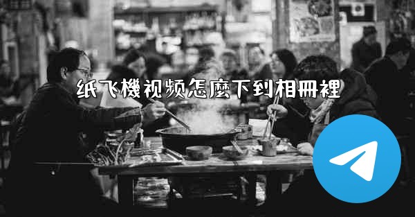 纸飞機视频怎麼下到相冊裡