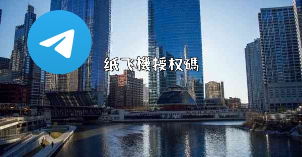 纸飞機授权碼