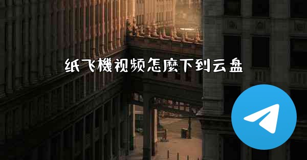 纸飞機视频怎麼下到云盘