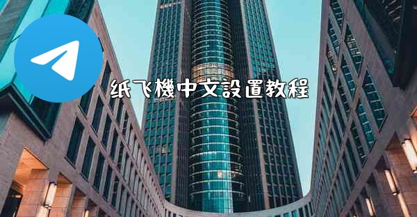 纸飞機中文設置教程