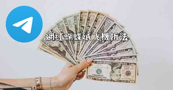 網红蝴蝶纸飞機折法