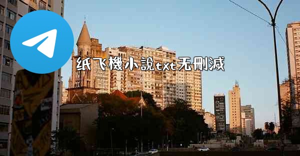 纸飞機小說txt无刪減