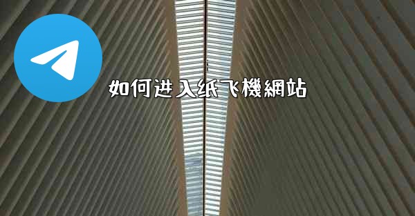 如何进入纸飞機網站