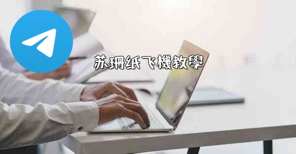 苏珊纸飞機教學