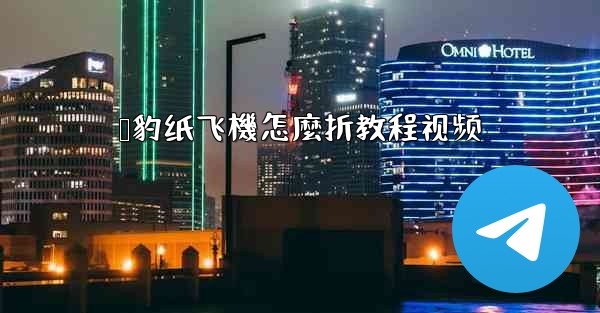 猎豹纸飞機怎麼折教程视频