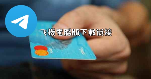 飞機電腦版下載链接