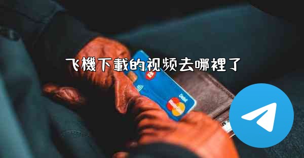 飞機下載的视频去哪裡了