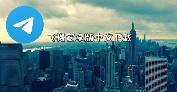 飞機安卓版中文下載