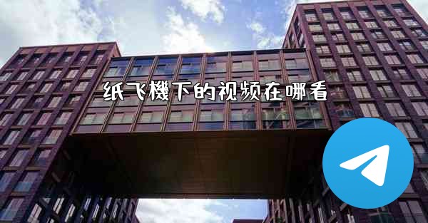 纸飞機下的视频在哪看