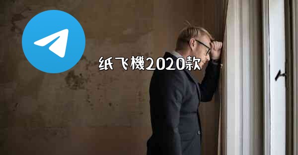 纸飞機2020款