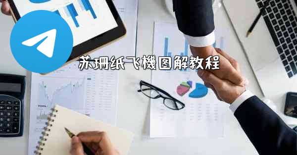 苏珊纸飞機图解教程