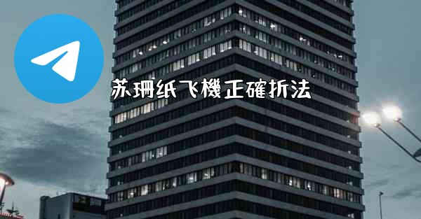 苏珊纸飞機正確折法