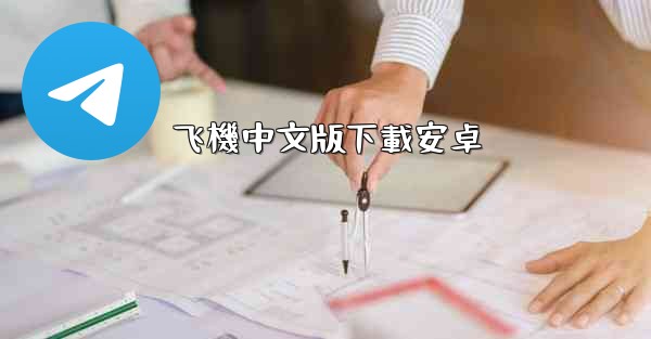 飞機中文版下載安卓