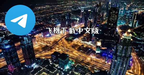 飞機下載中文版