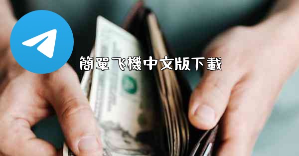 簡單飞機中文版下載