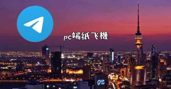 pc端纸飞機