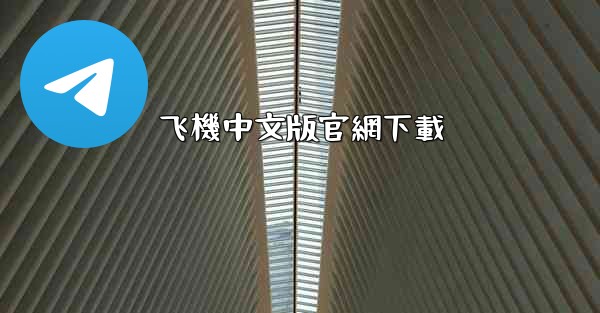 <b>飞機中文版官網下載</b>
