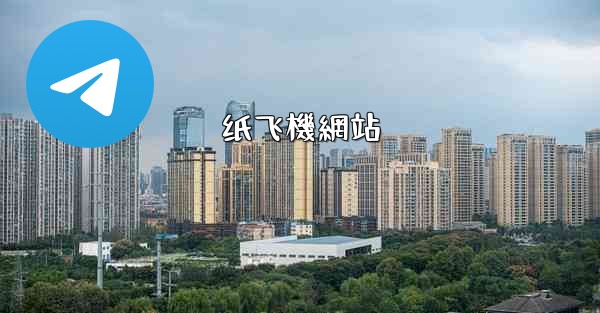 纸飞機網站