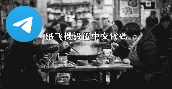 纸飞機設置中文代碼